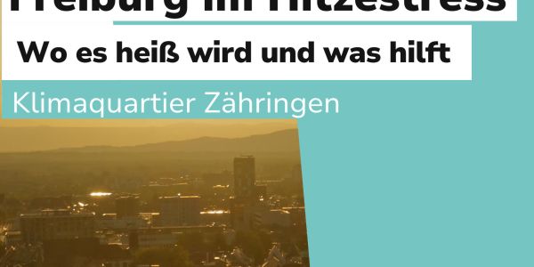 Freiburg im Hitzestress: Wo es heiß wird und was hilft